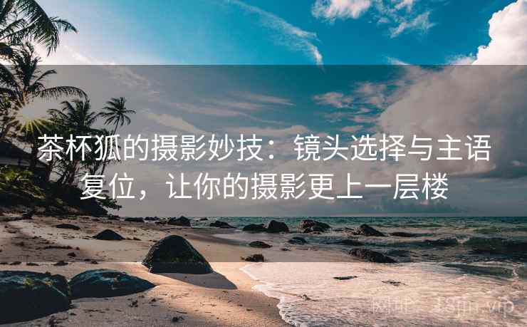 茶杯狐的摄影妙技：镜头选择与主语复位，让你的摄影更上一层楼