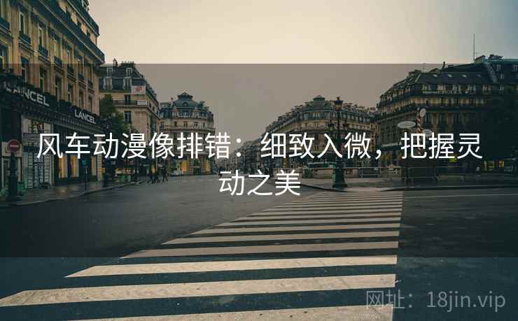风车动漫像排错：细致入微，把握灵动之美
