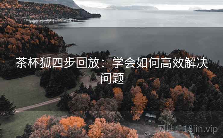 茶杯狐四步回放：学会如何高效解决问题